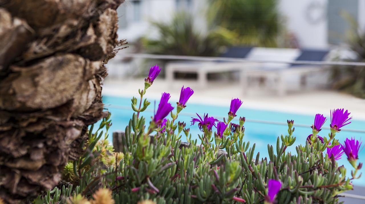 Hotel Les Bois Flottais Le Bois-Plage-en-Re Luaran gambar